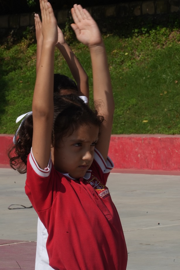 3_69156bf8e6631.jpg